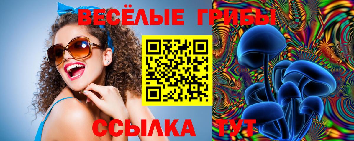 Советская Гавань  Псилоцибиновые грибы прущие грибы  Вход с VPN  Псилоцибиновые грибы Psilocybe 