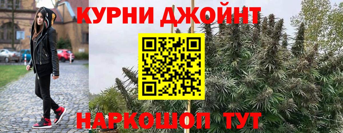 Каннабис семена Советская Гавань